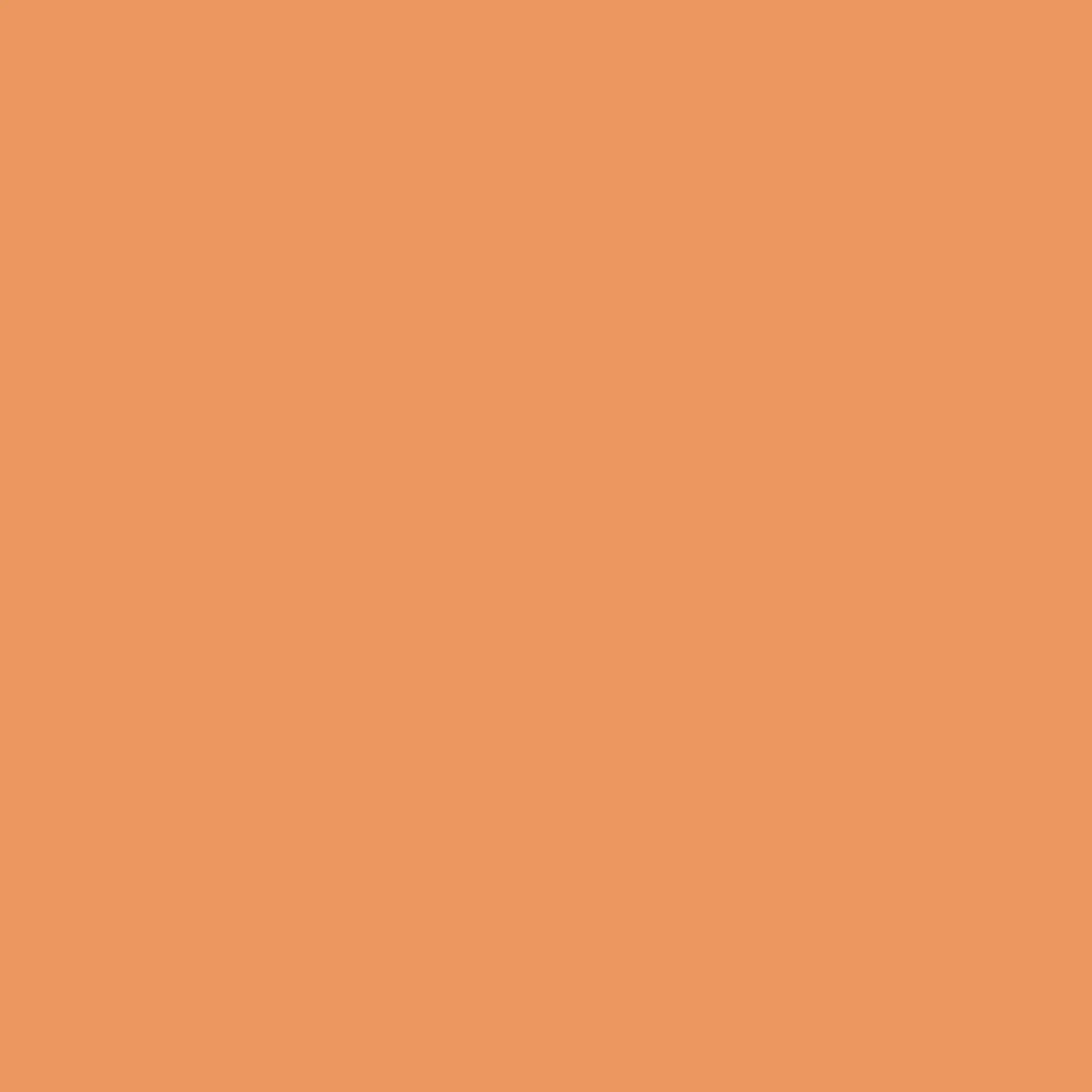VERDA-POP-0042 · #EB975E