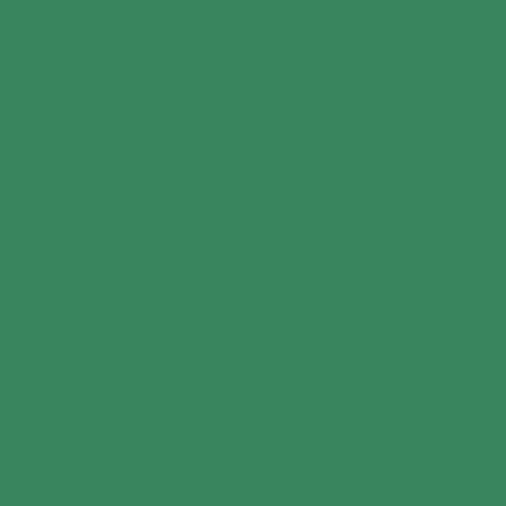 VERDA-POP-0078 · #39855E