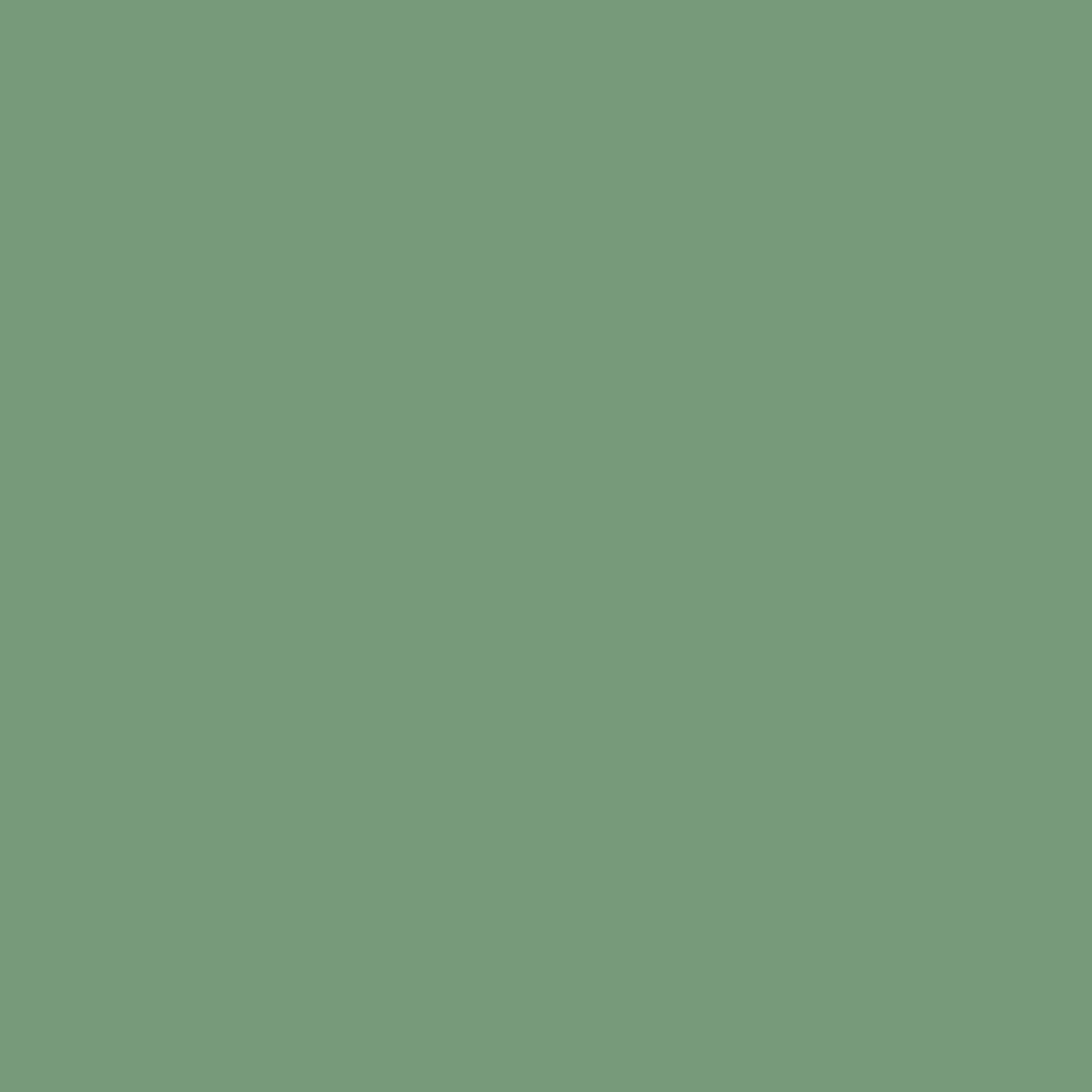 VERDA-POP-0005 · #779C7B