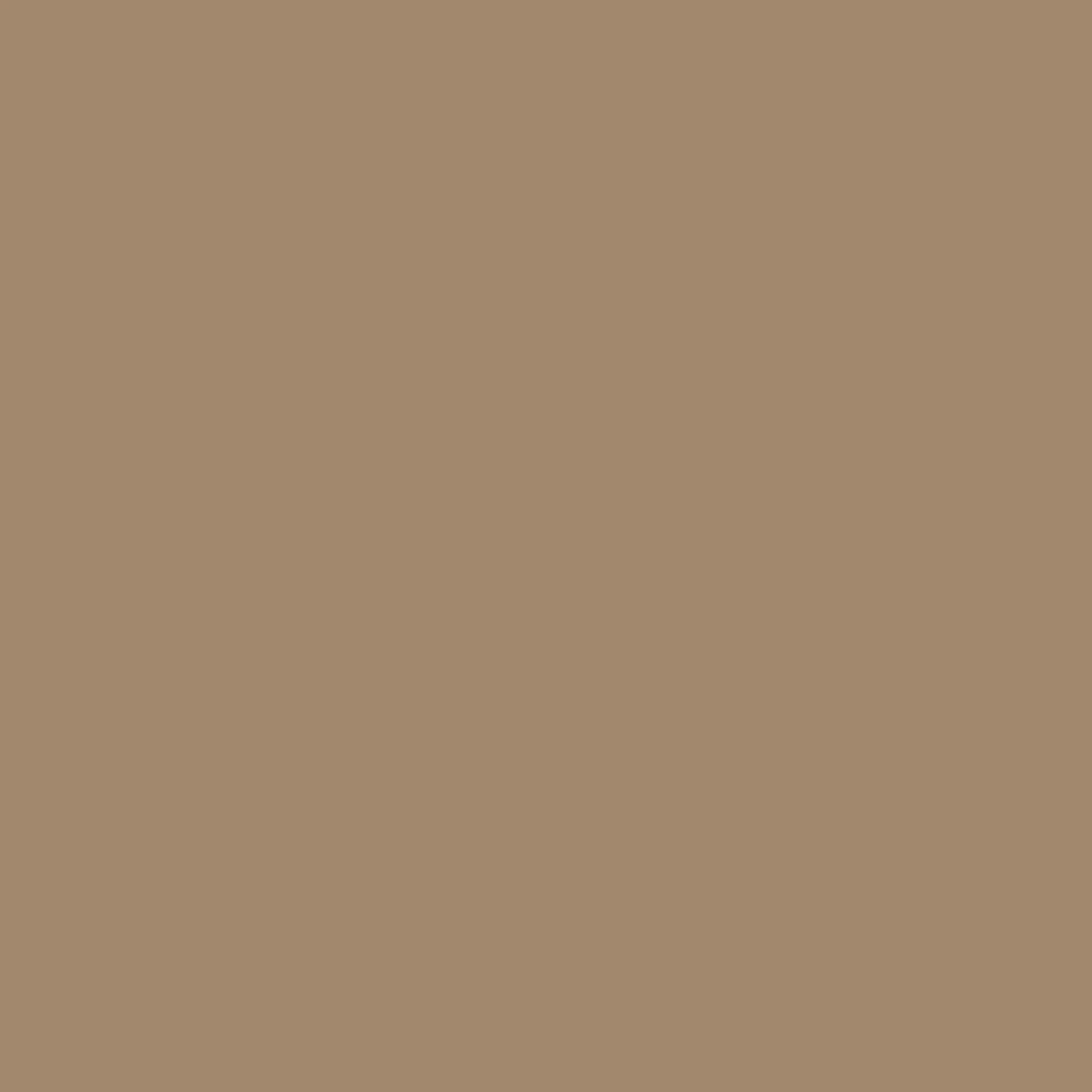 VERDA-POP-0215 · #A2886D
