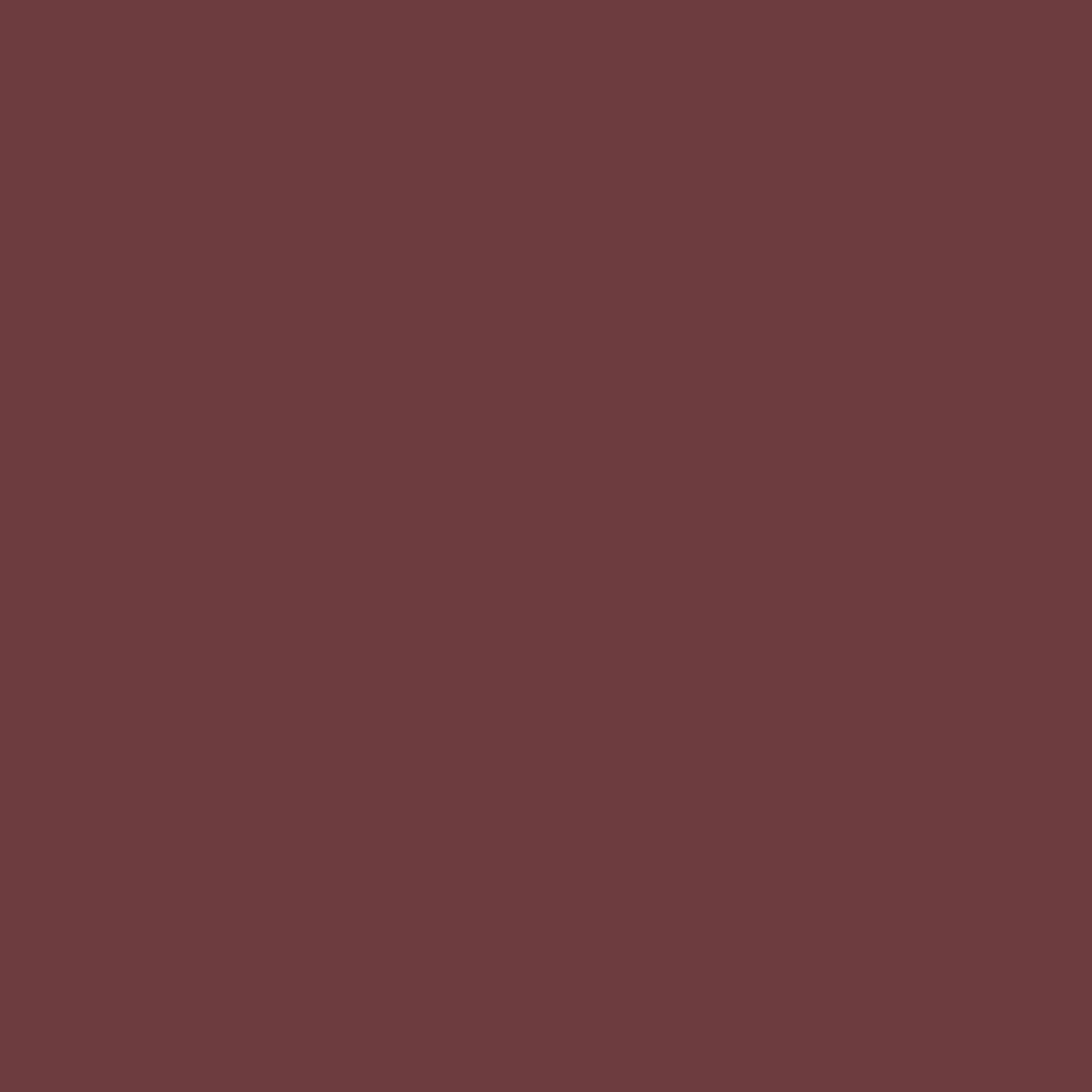 VERDA-POP-0013 · #6C3B3E