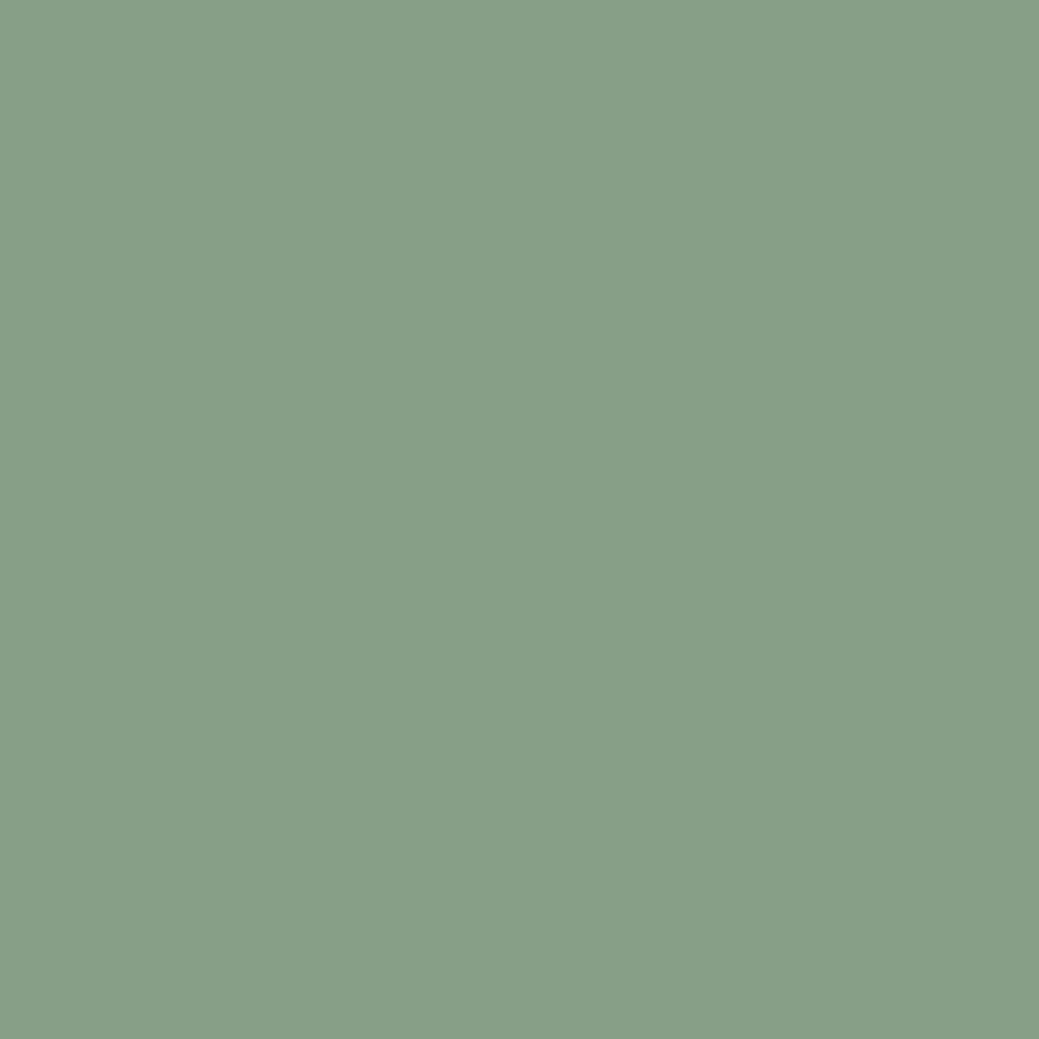 VERDA-POP-0003 · #879F88