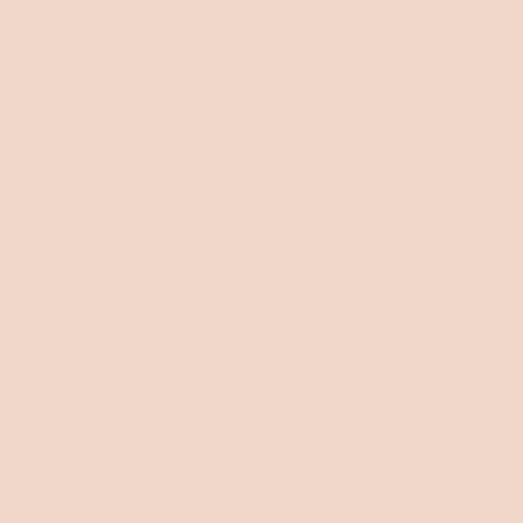 VERDA-POP-0166 · #F1D7C8