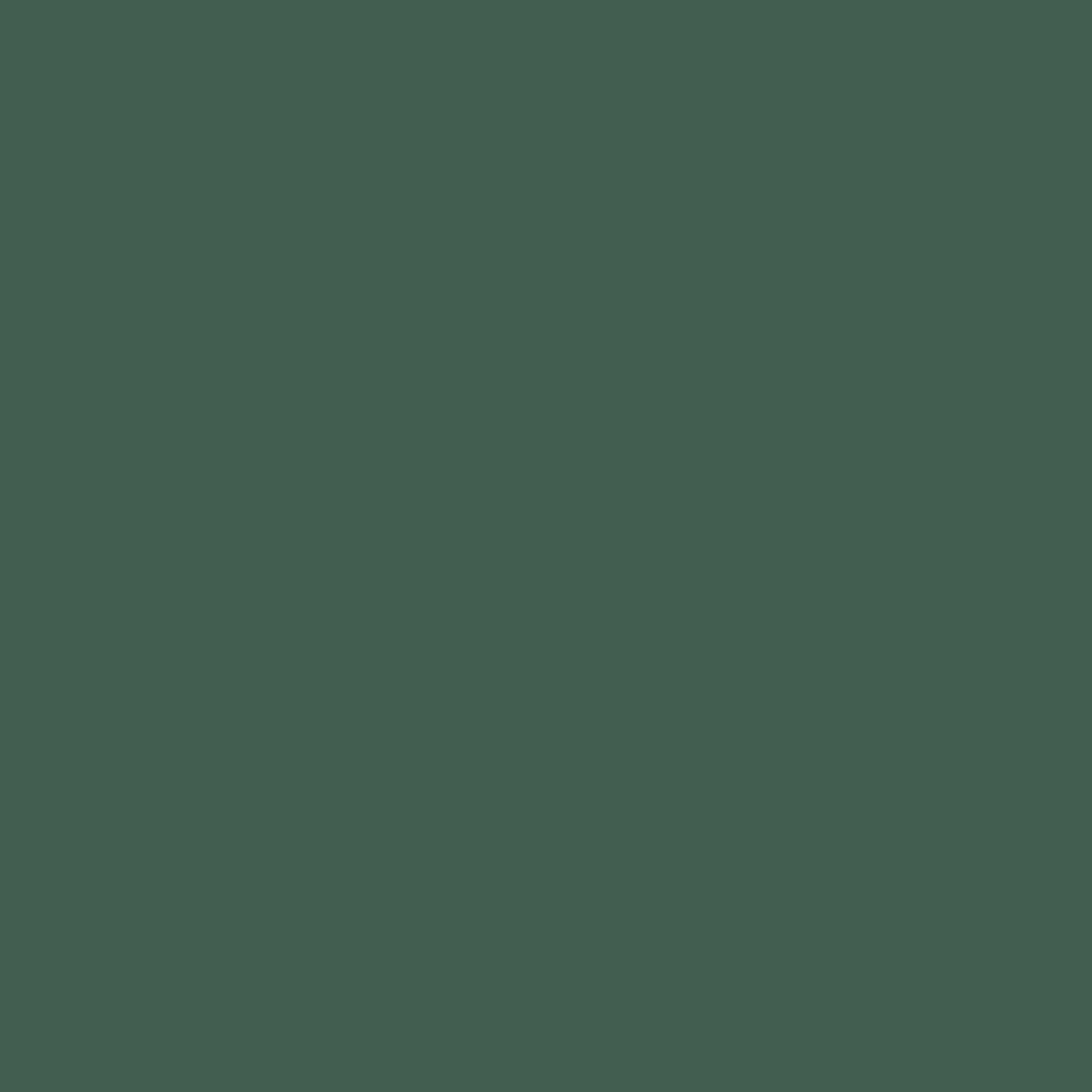 VERDA-POP-0137 · #425E50