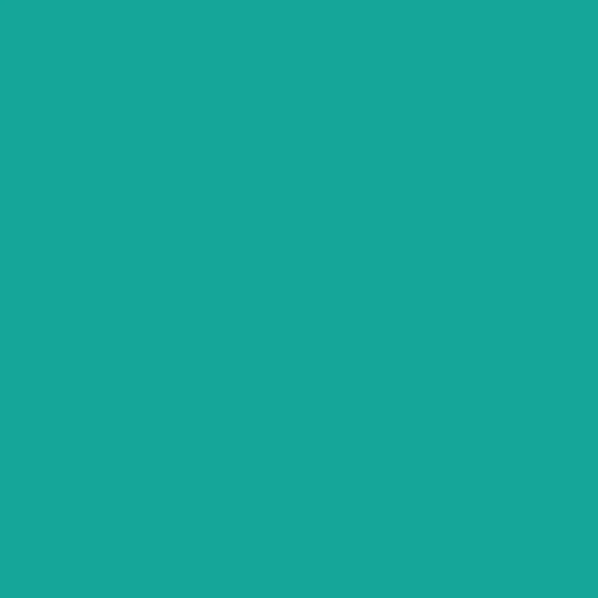 VERDA-POP-0100 · #14A699