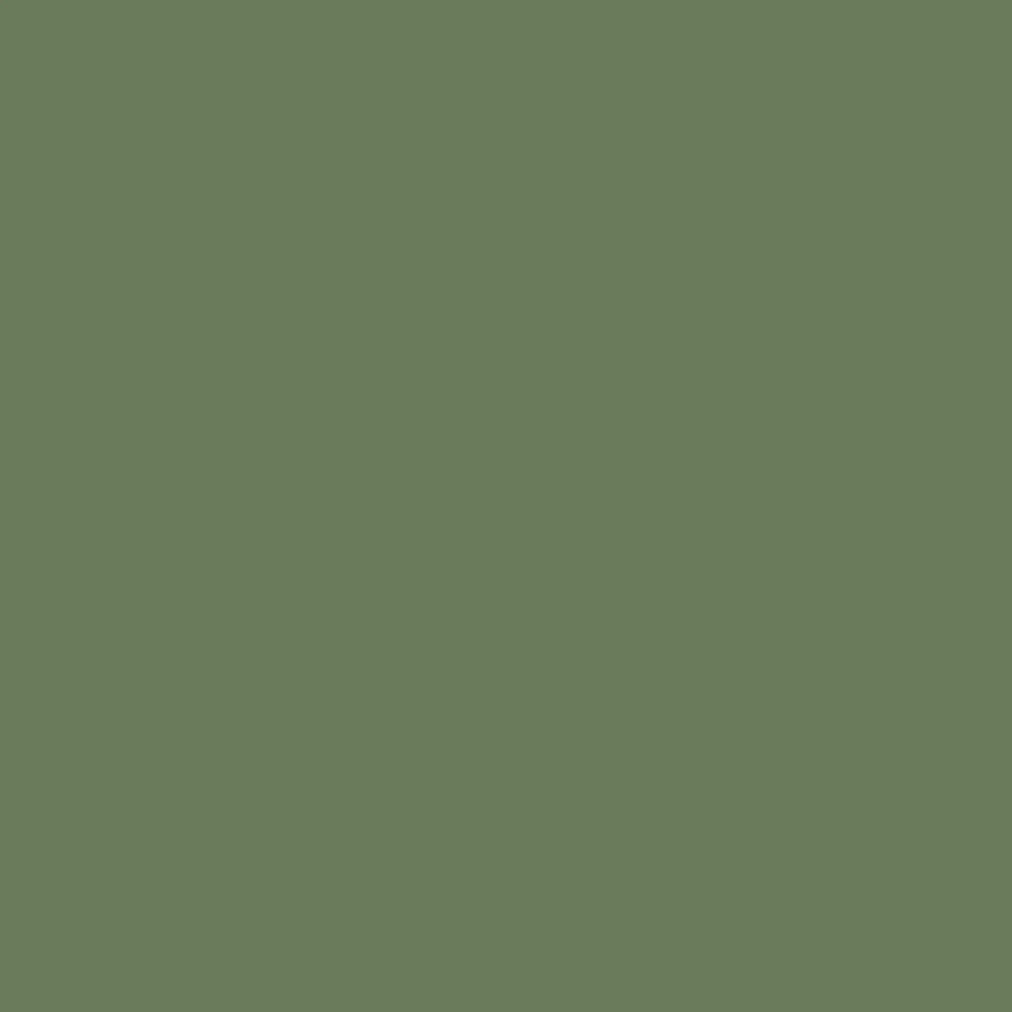 VERDA-POP-0033 · #6A7B59