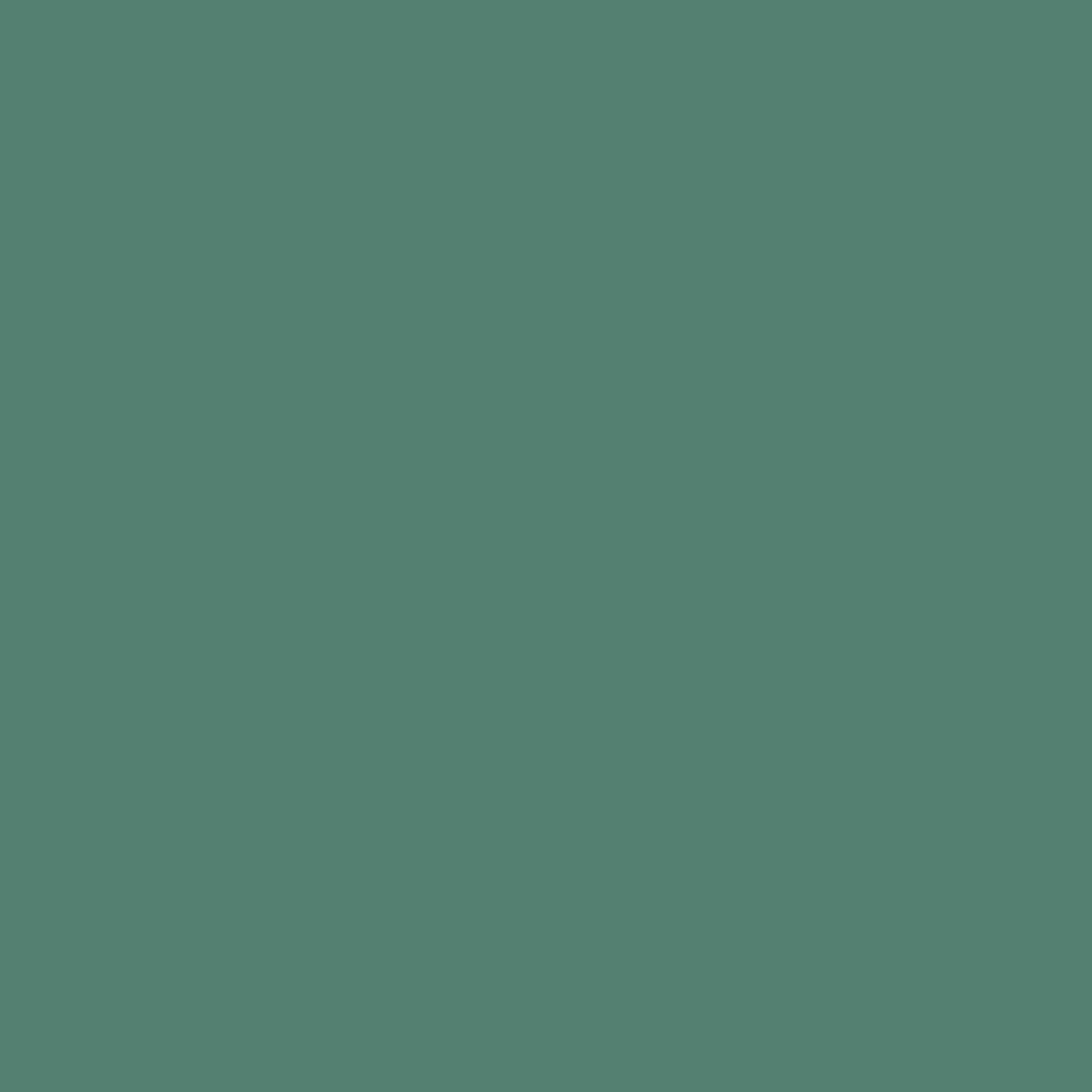 VERDA-POP-0016 · #528171
