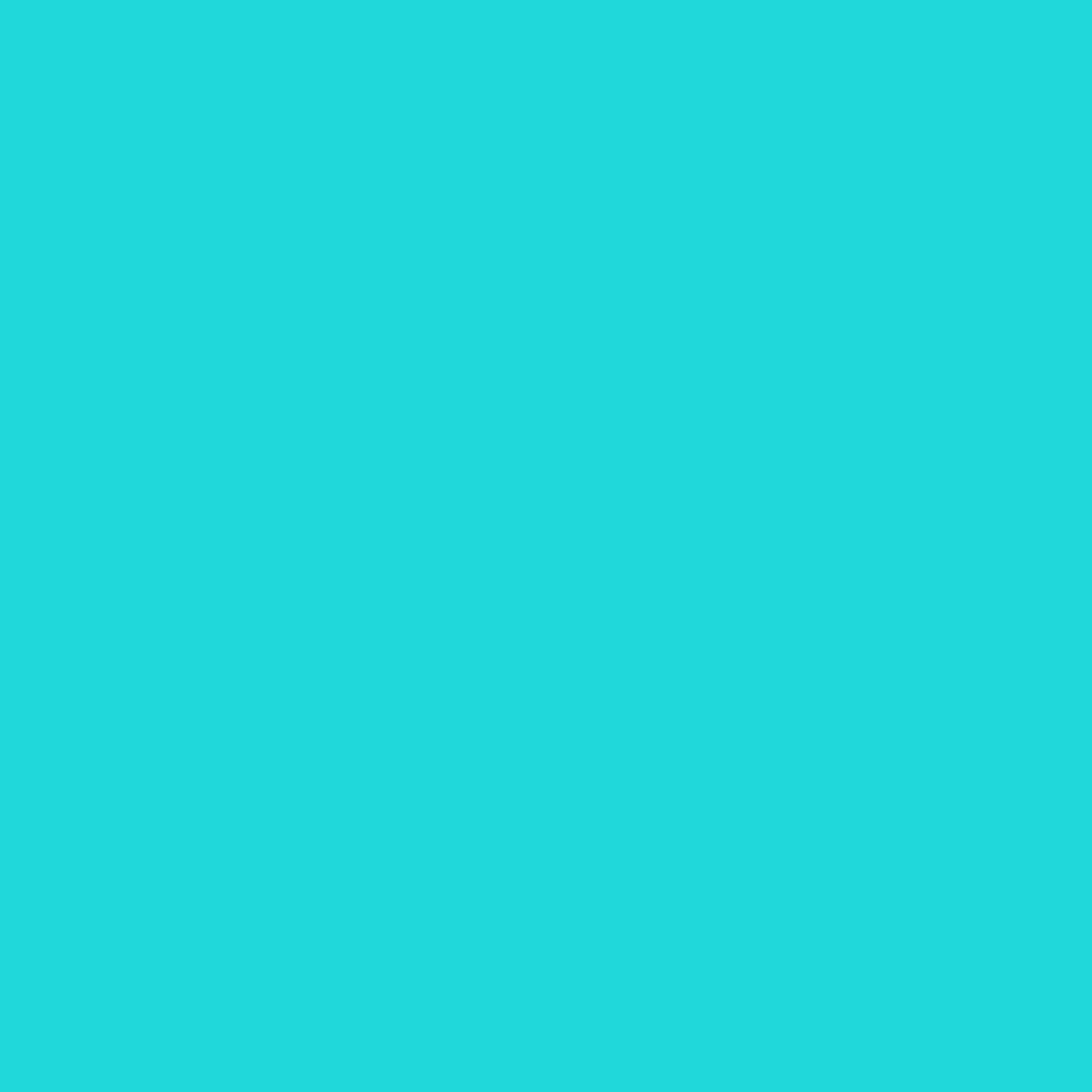 VERDA-POP-0124 · #20D8D8