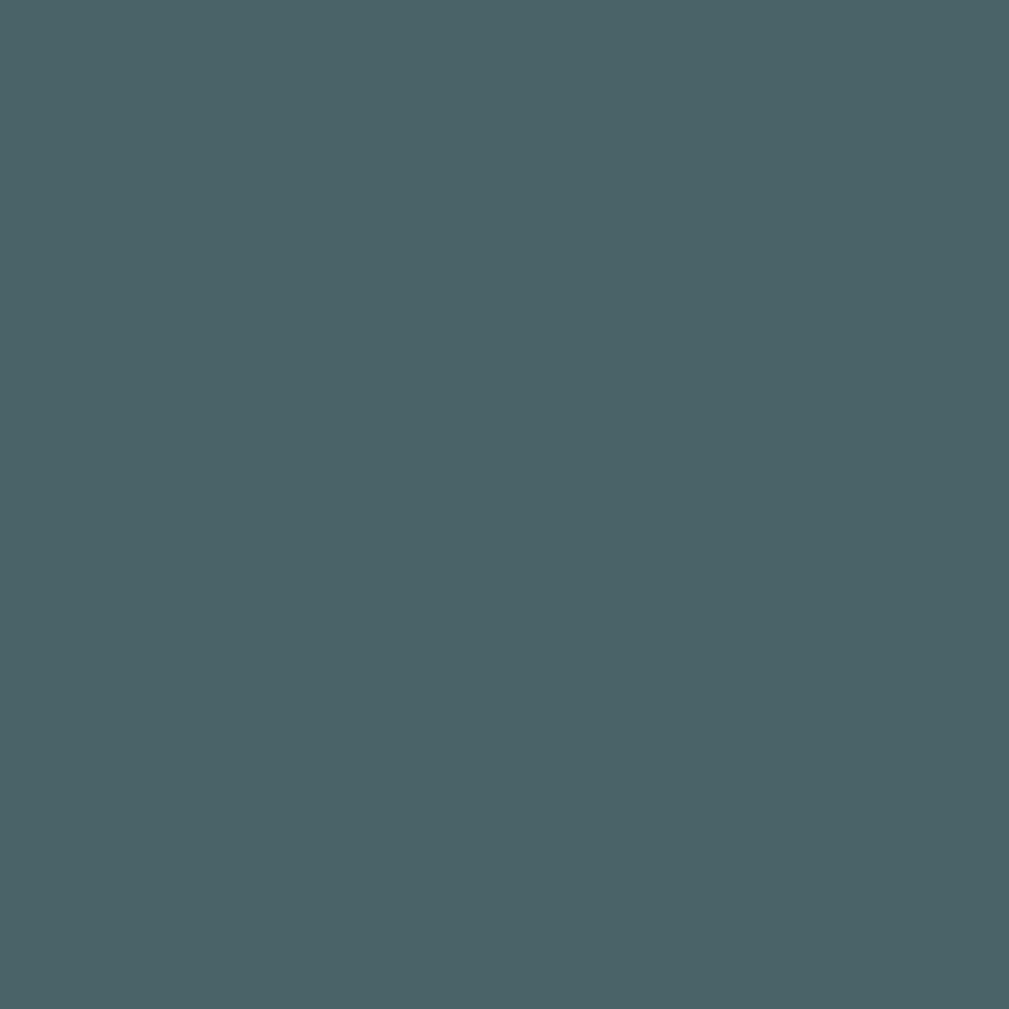 VERDA-POP-0031 · #4A6267