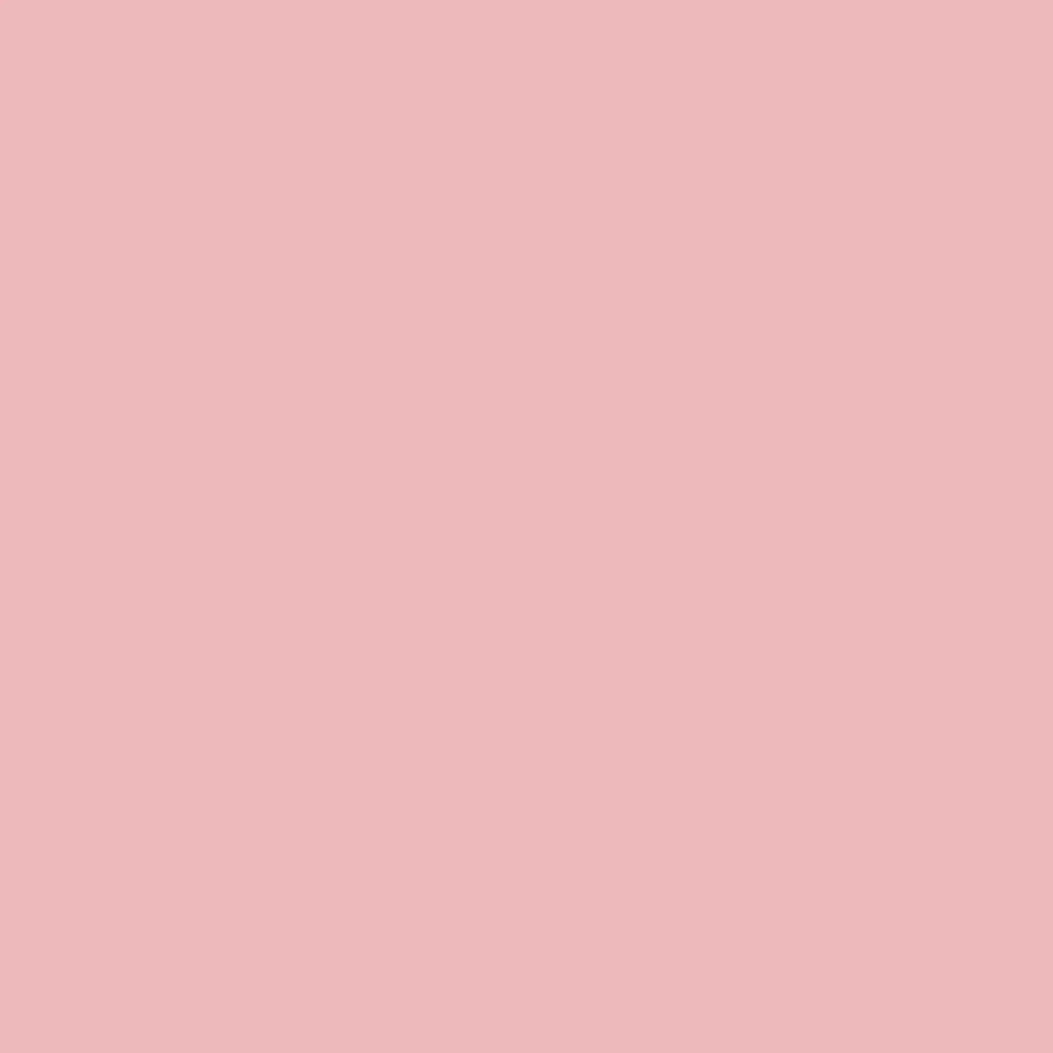 VERDA-POP-0039 · #EEBABC