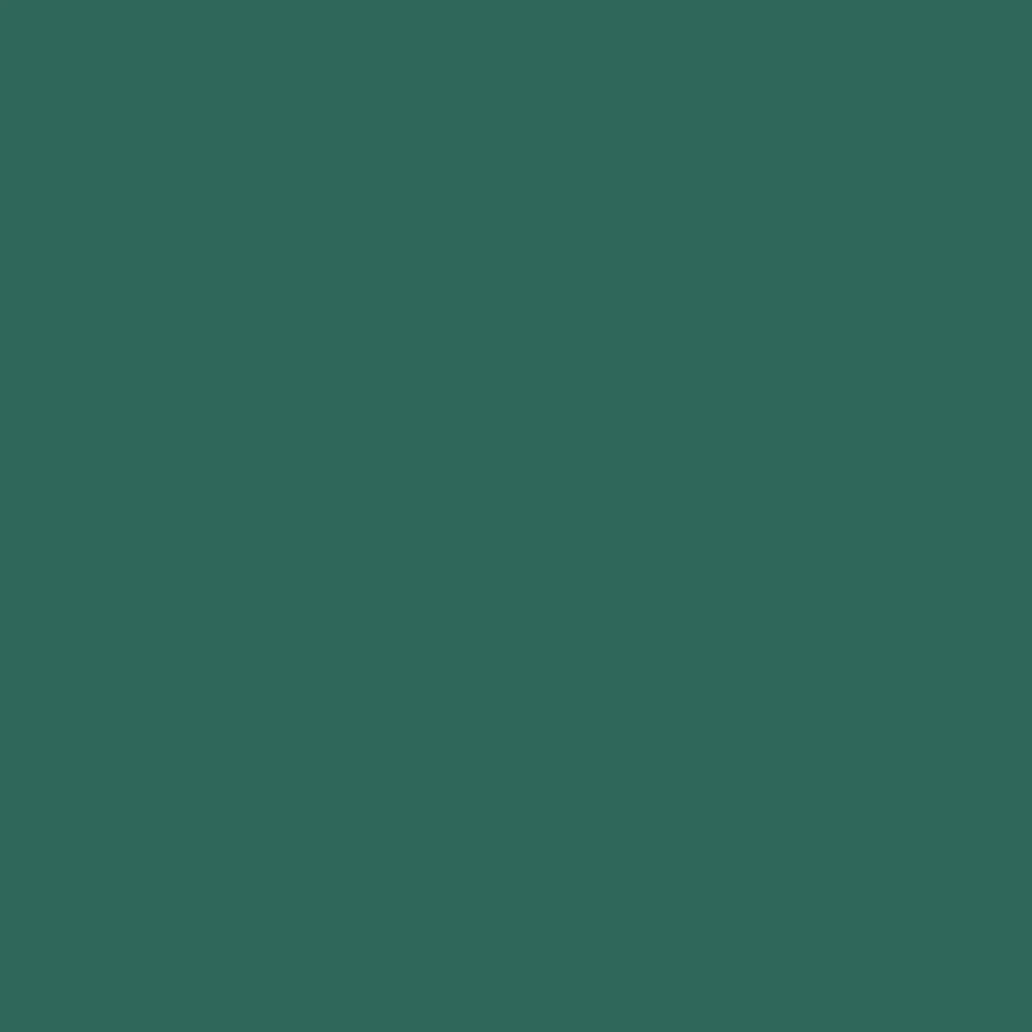 VERDA-POP-0069 · #30675C
