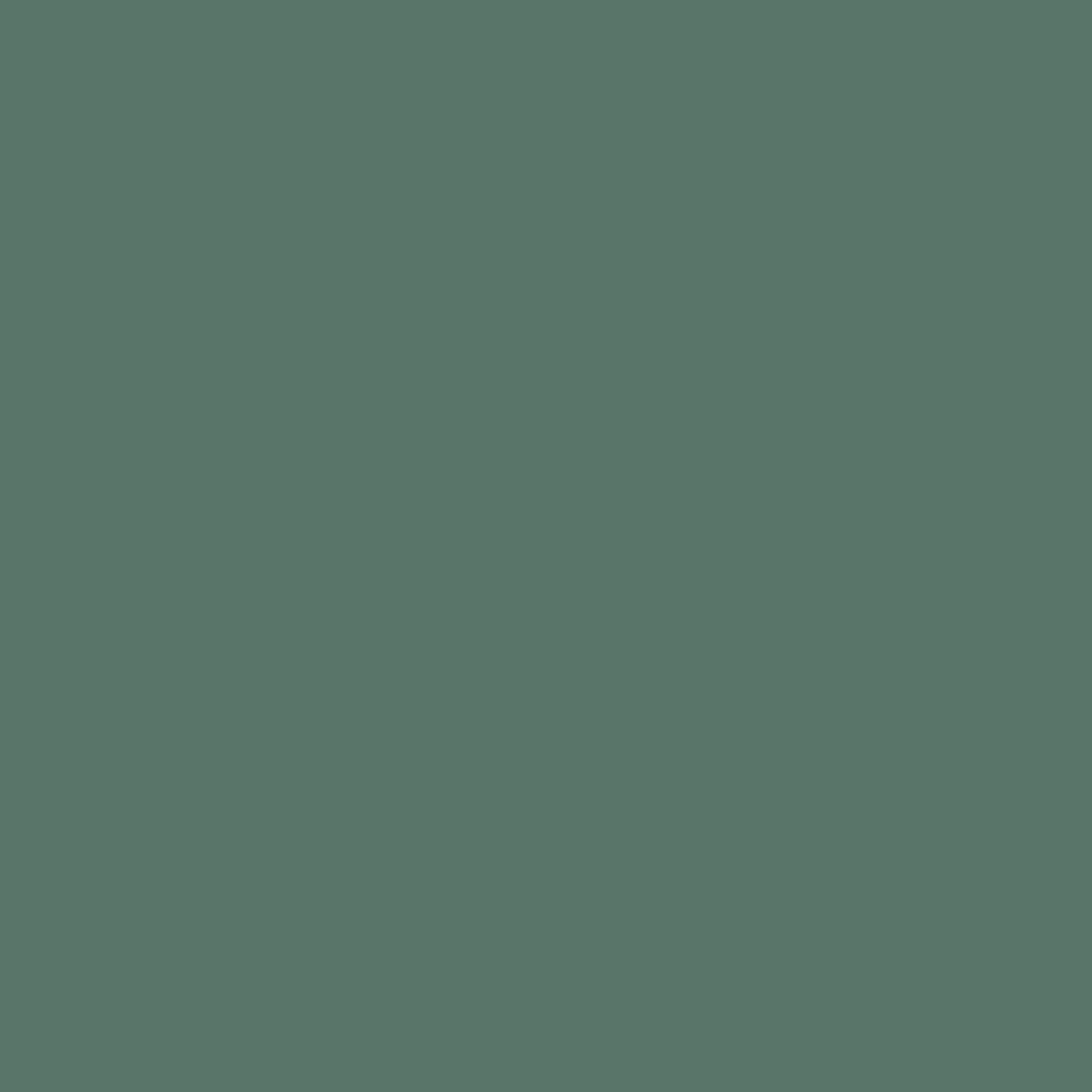VERDA-POP-0017 · #58756A