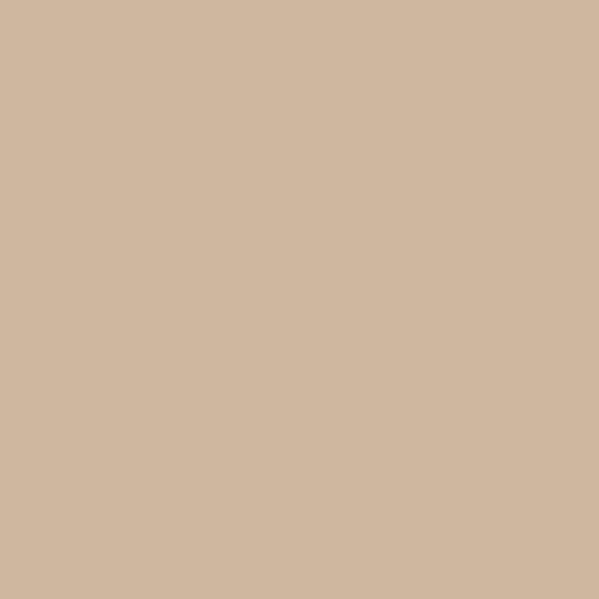 VERDA-POP-0158 · #CCB89F