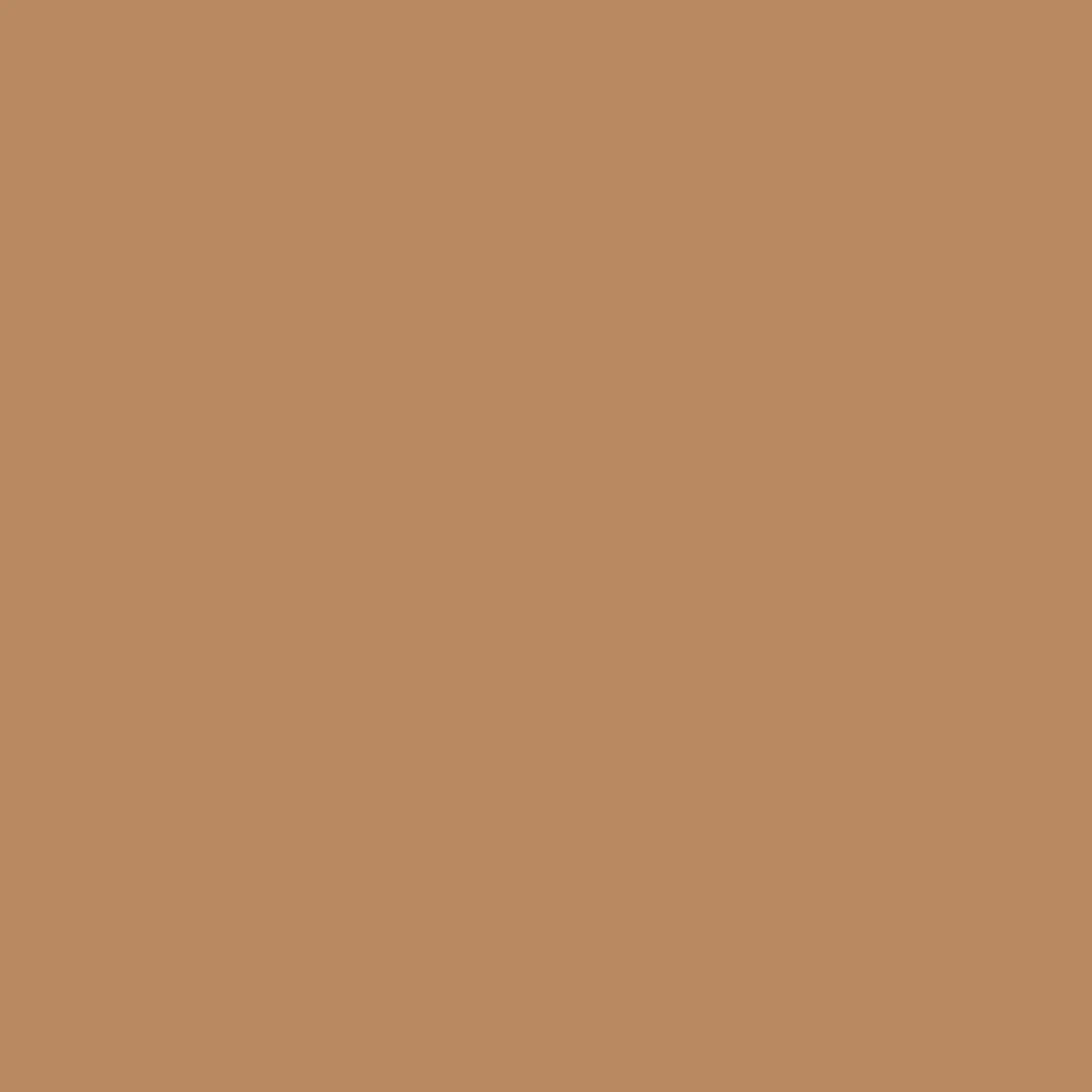 VERDA-POP-0009 · #B98861
