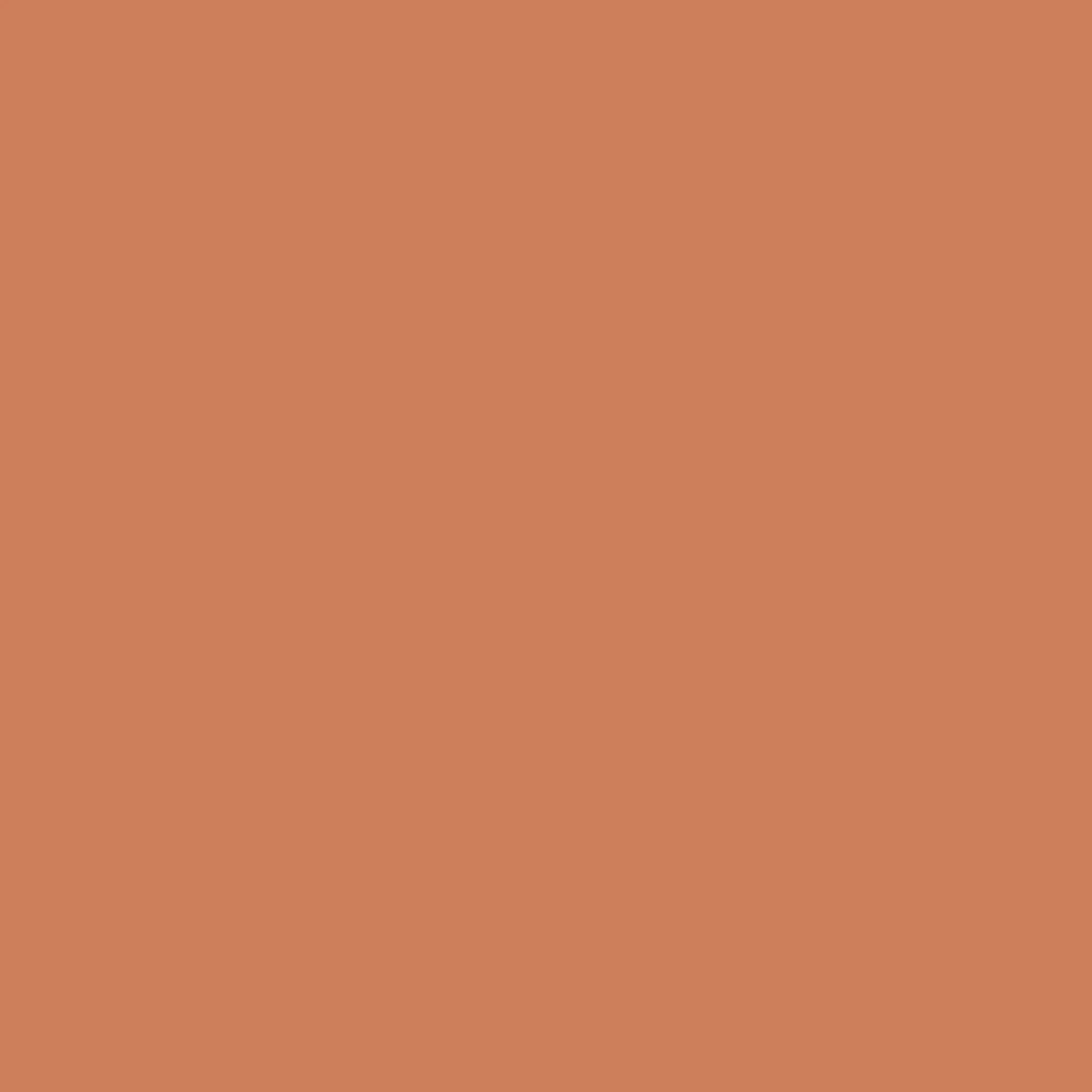 VERDA-POP-0062 · #CC7E5B