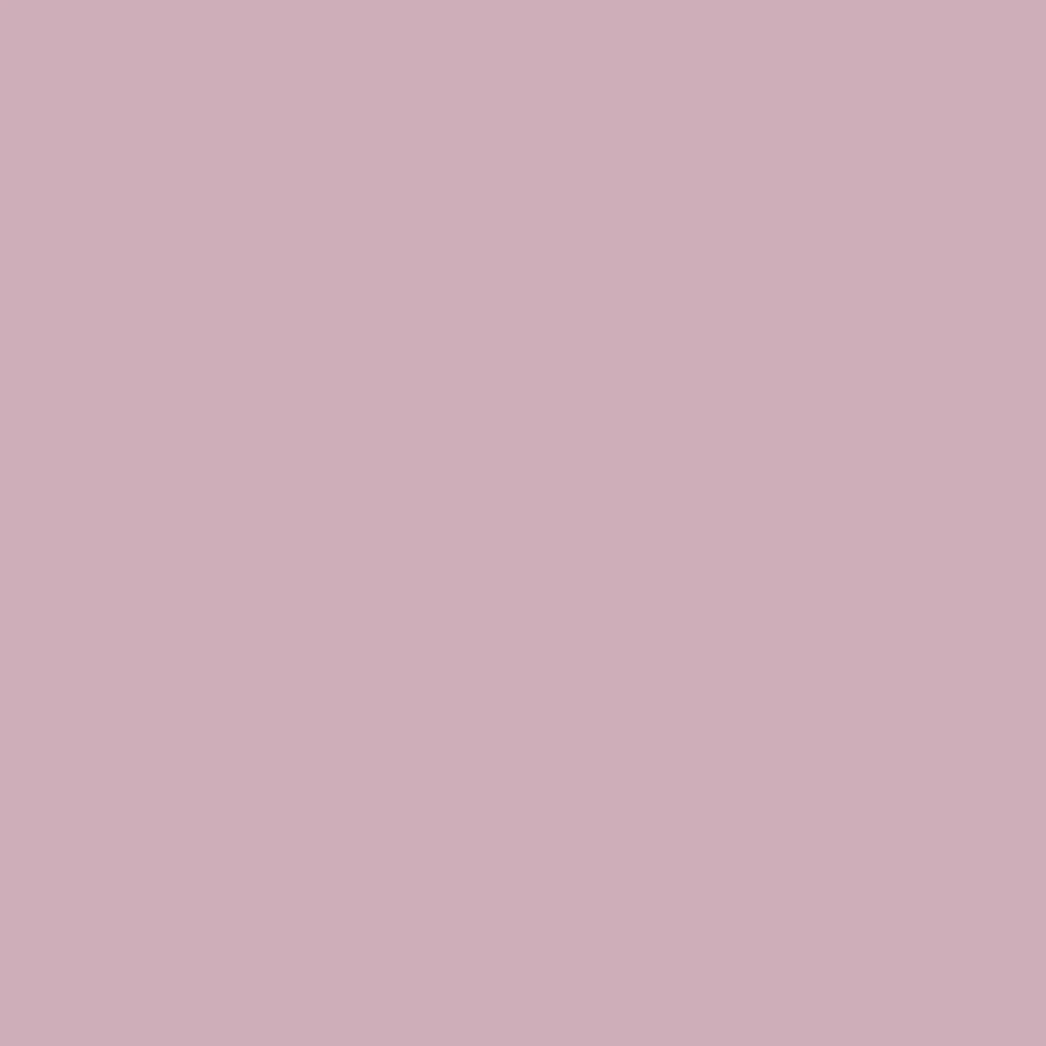 VERDA-POP-0225 · #CEAEB9