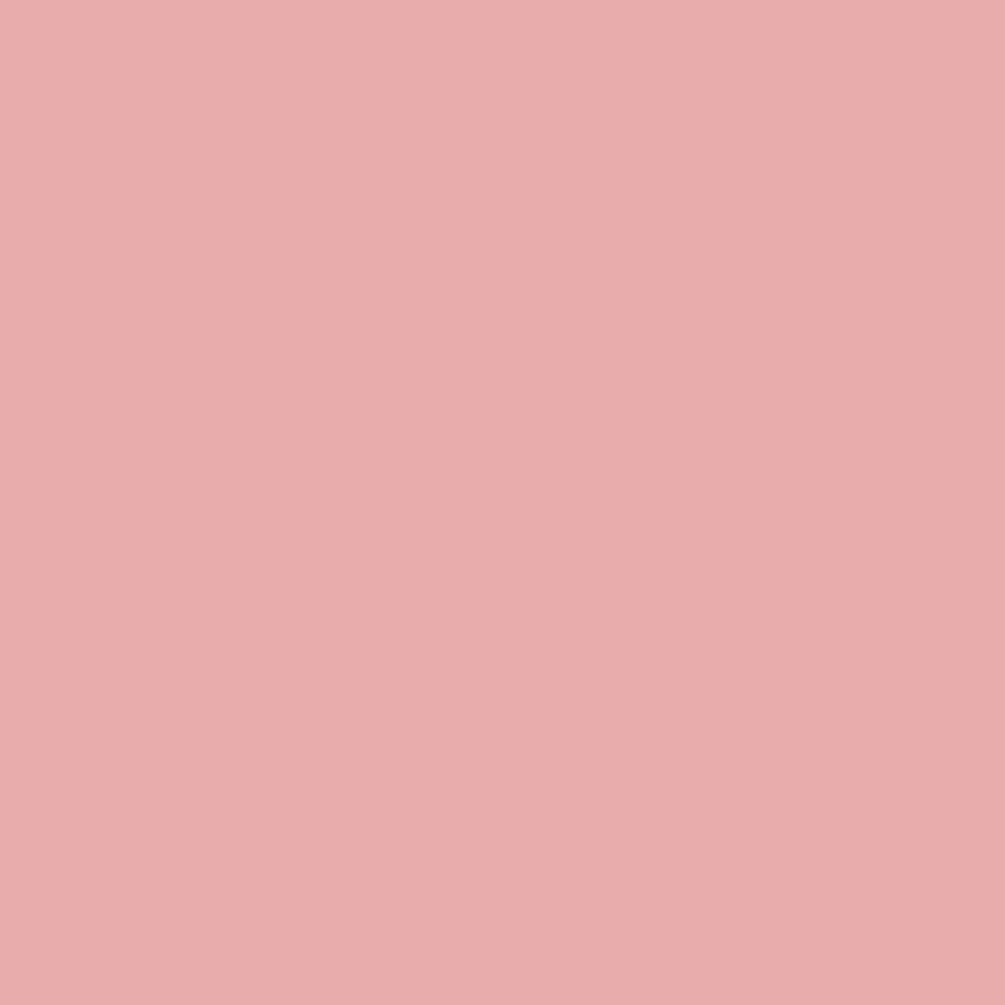 VERDA-POP-0202 · #E7ADAC