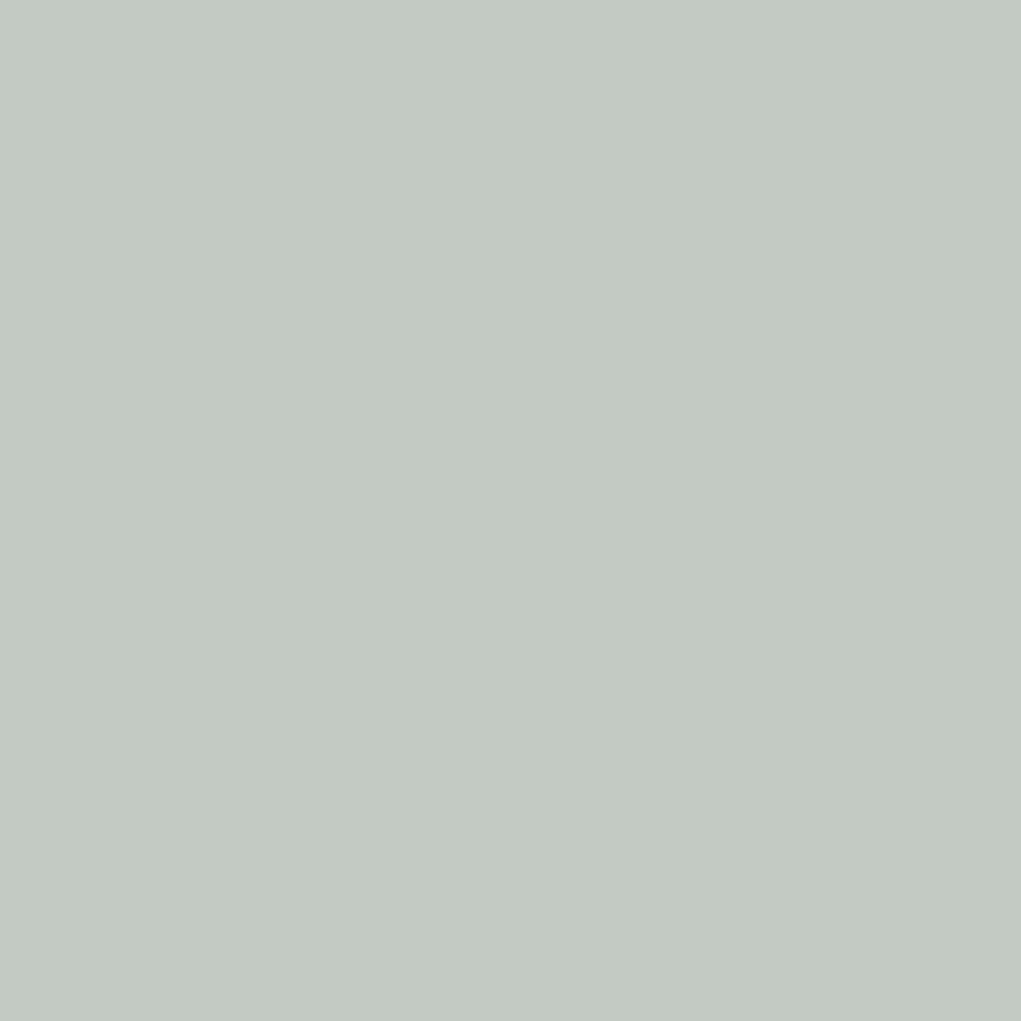 VERDA-POP-0219 · #BFCAC2