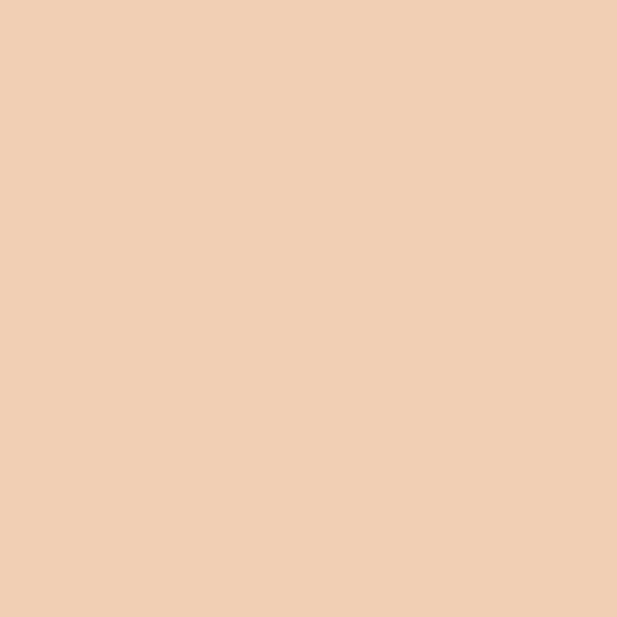 VERDA-POP-0173 · #EDCFB3