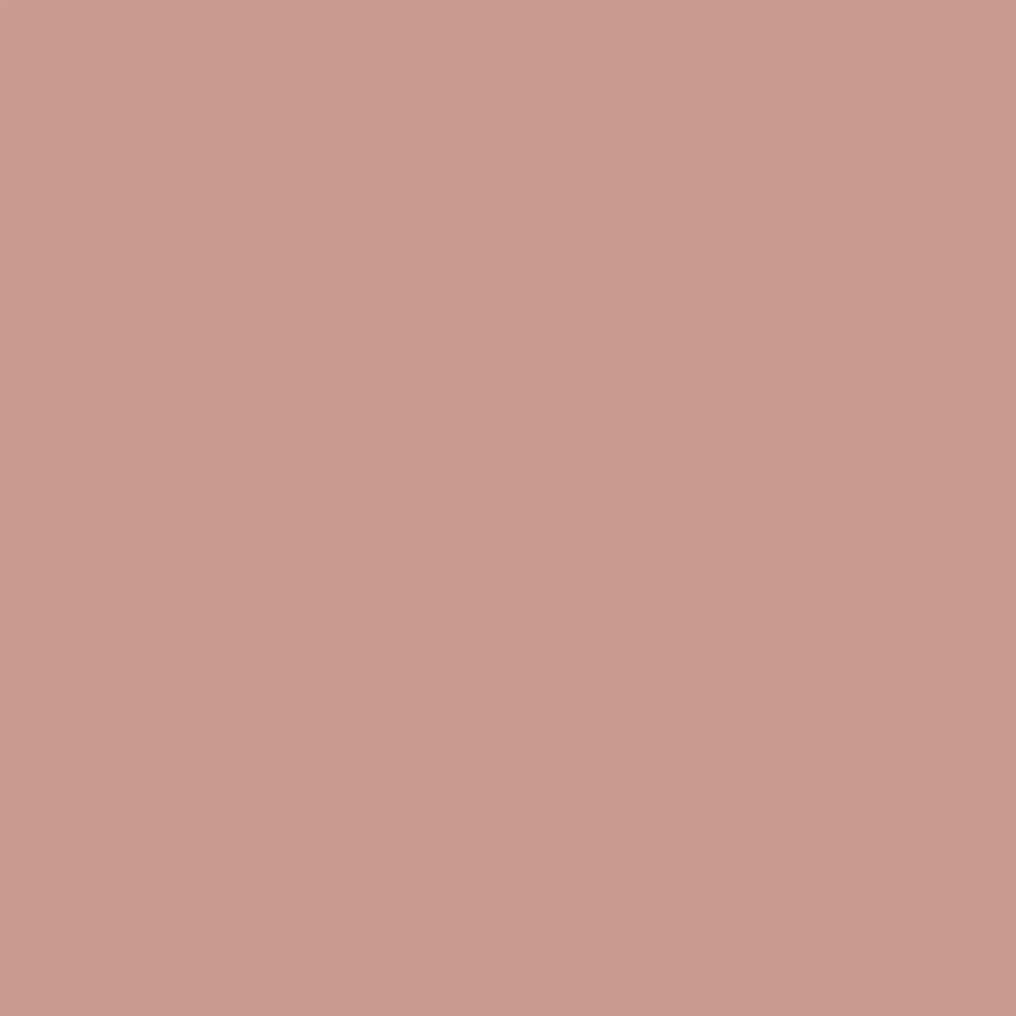 VERDA-POP-0231 · #CB9B8F