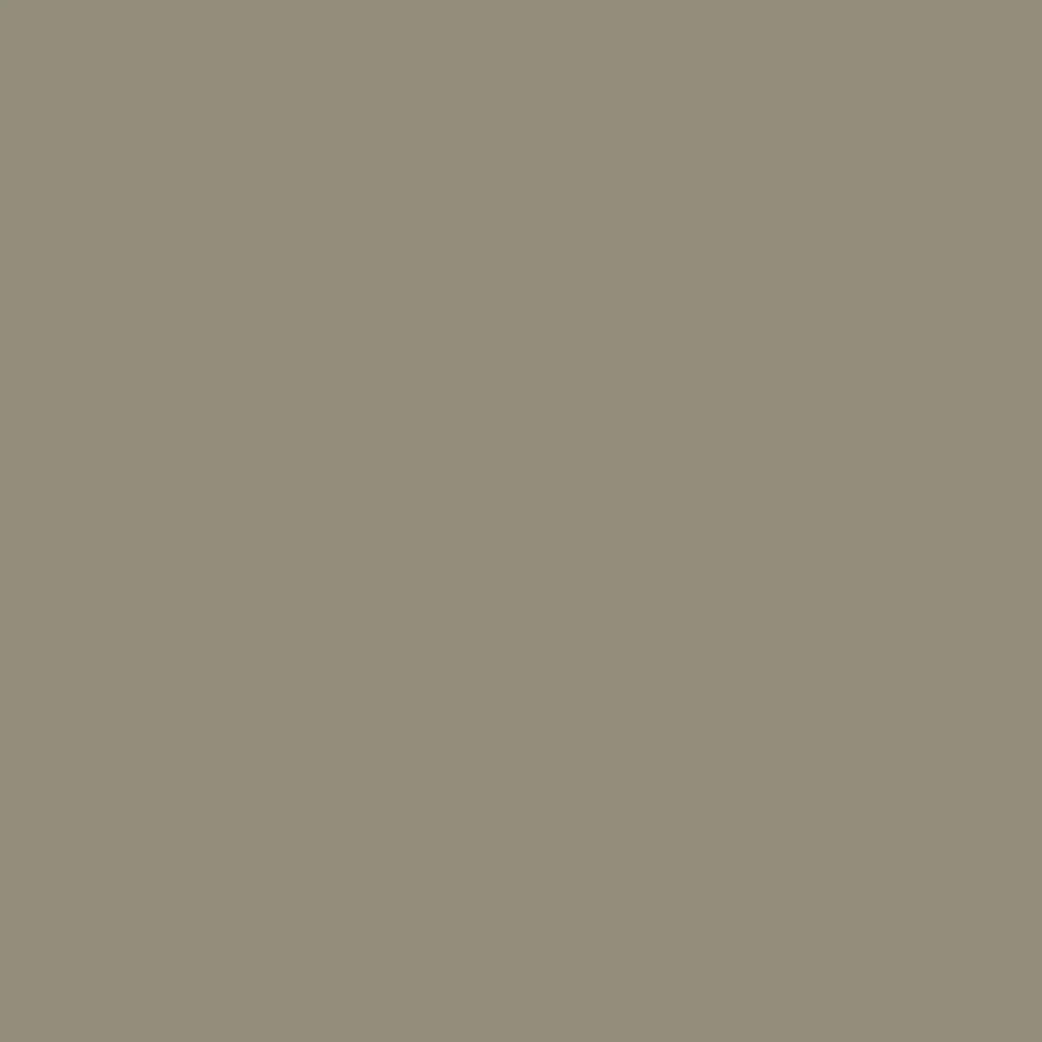 VERDA-POP-0037 · #928E7C