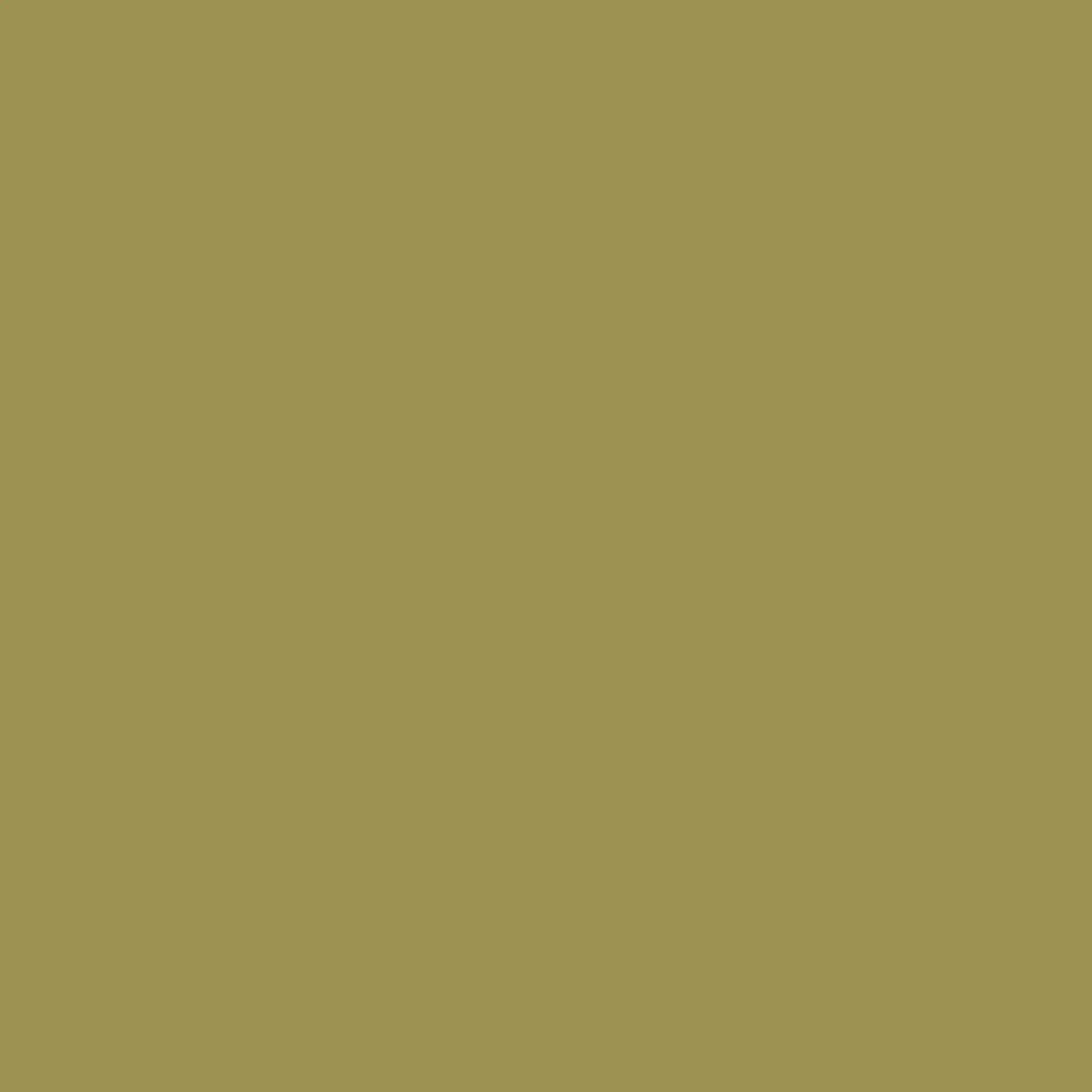 VERDA-POP-0010 · #9C9253
